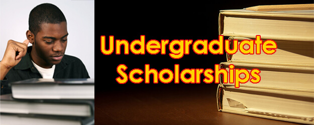 undergraduate scholarships