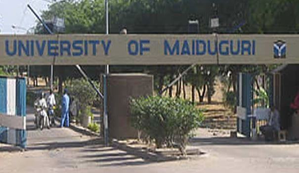 courses offered in unimaid