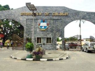 list of courses offered in unical