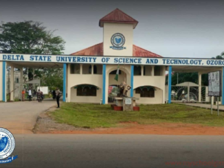 Delta State University Of Science And Technology courses, School Fees, and Cutoff Marks